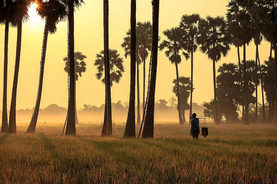 Processions à Bali toute l'année