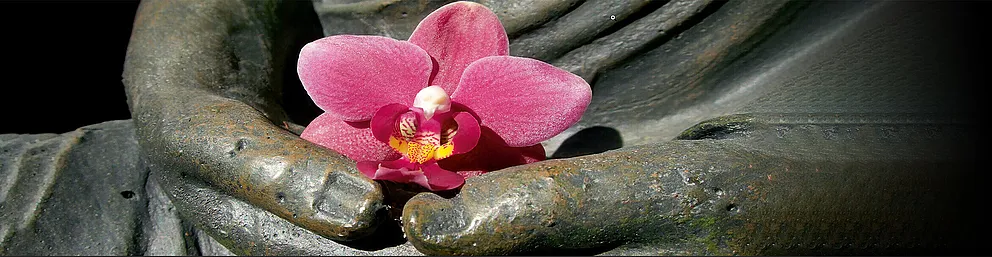 Conditions générales Lotus Voyages SA